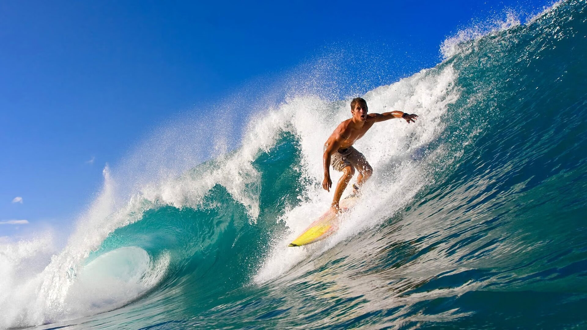 格里马尔多：我们被误判，但这一天我们配得上满堂彩，格里马尔德